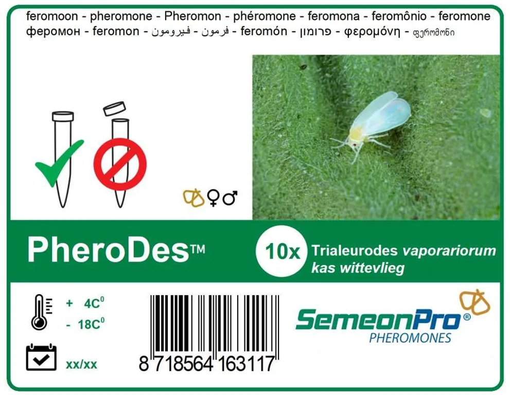 feromoon PheroDes (Kaswittevlieg) 10/pak