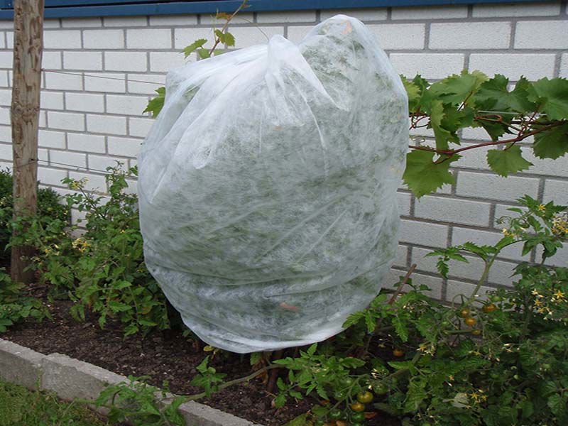 Tuba vliesdoek P17 0,75x 10 mtr buisvorm