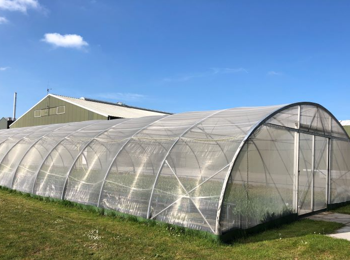 luizengaas maas 0,39x0,88 2x200m