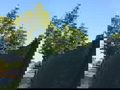 zichtbreekgaas 220te groen 1,8x25m