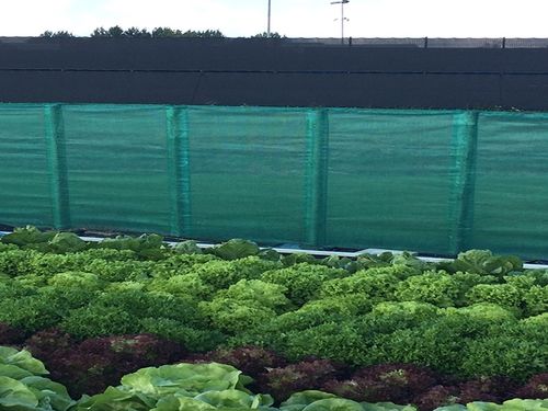 windschermgaas zonder p.sleuf 1,65x50m