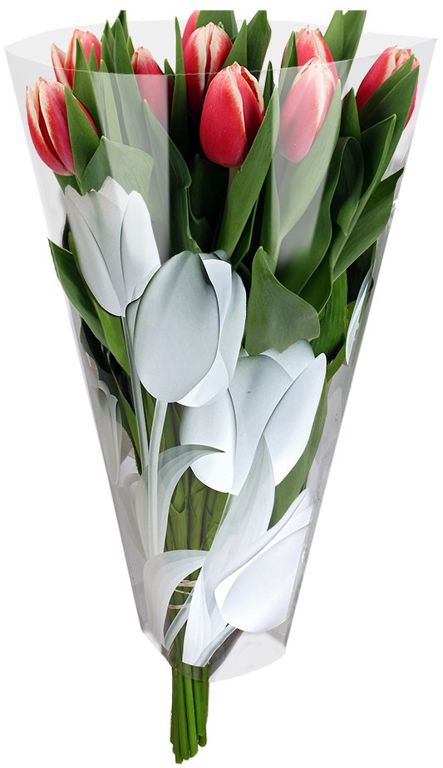 hoezen 40-30-12 opp35 tulp wit 2500/ds