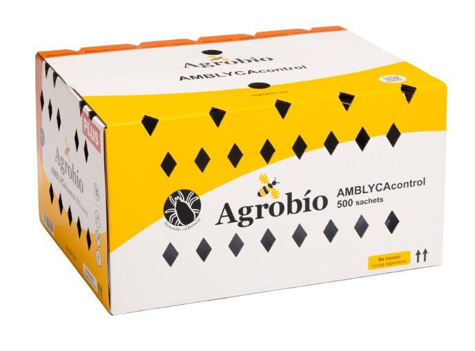 AMBLYCAcontrol Plus 500 haakzakjes AB