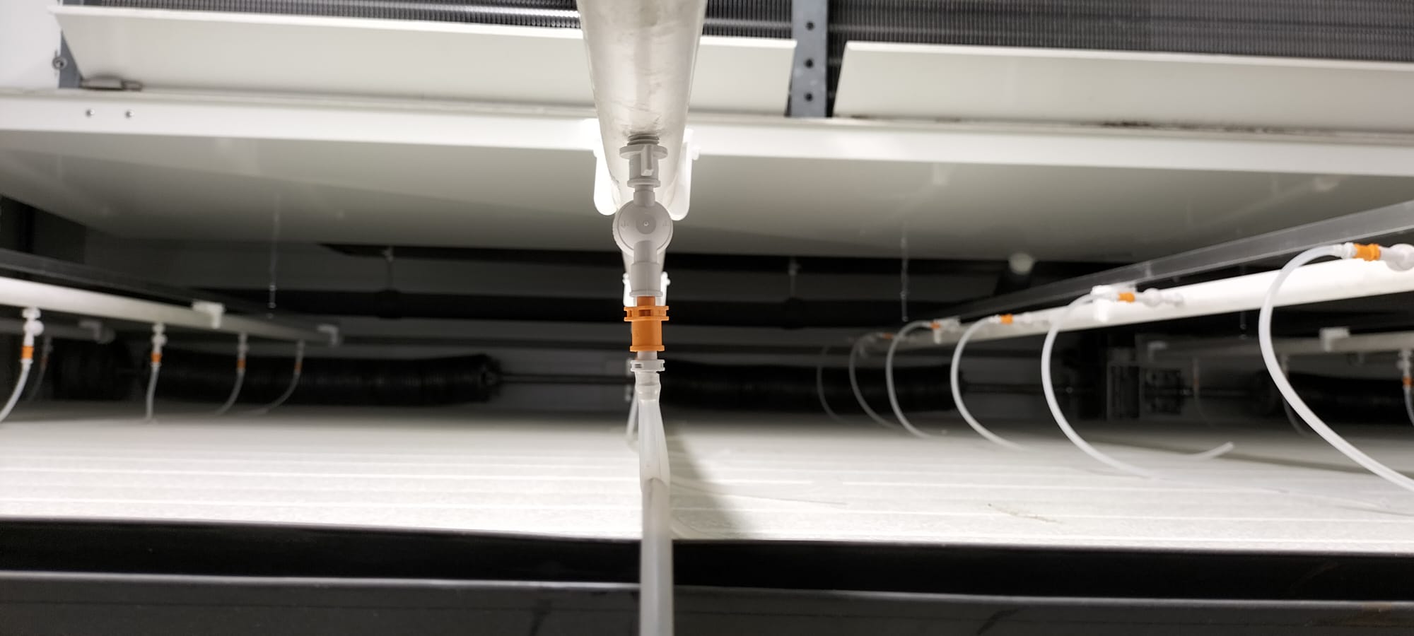 Duurzaam en Innovatief project bij DutchFlora — Optimalisatie van Water en Klimaat