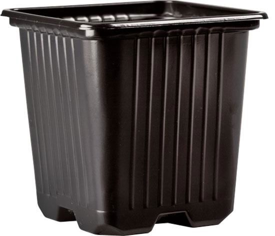 Desch pot 7x7x8 zwart 35280/box