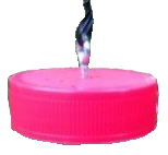 Drosophila suzukii ophanghaakje