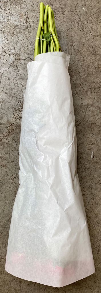 pioenpapier witkraft 50x75cm gebogen plt