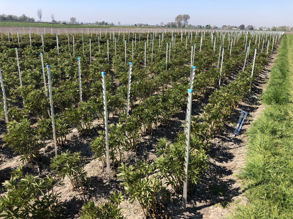 alu. T-profiel 120/15 smal, excl. dop