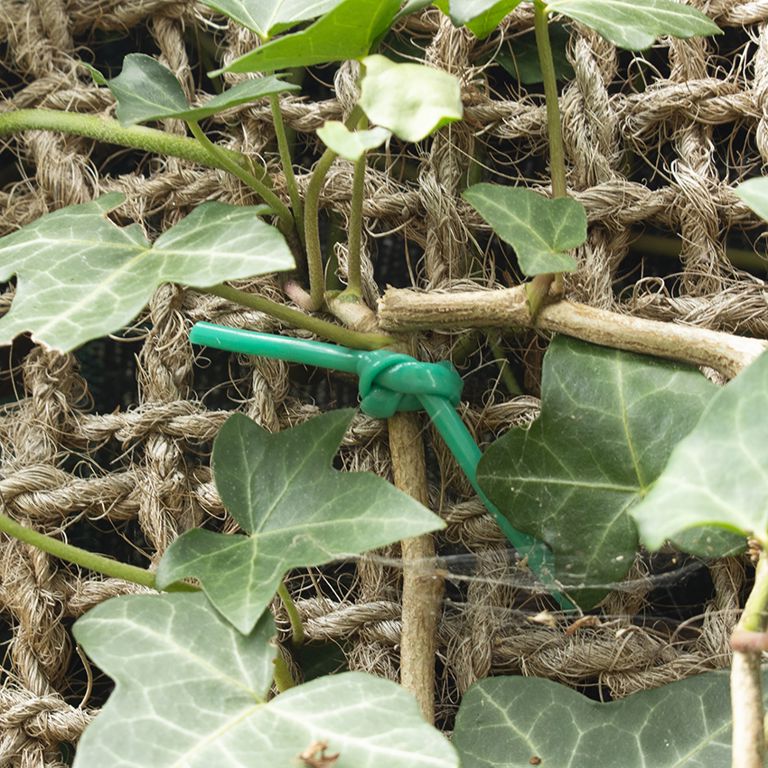 bindbuis 3mm groen 200m/bol