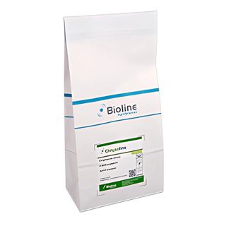 Chrysoline 10.000/zak BL gaasvlieg