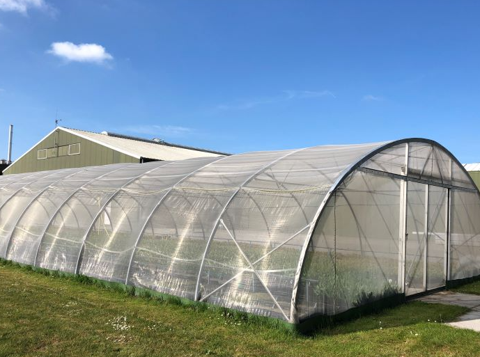 luizengaas maas 0,39x0,88 1x200m