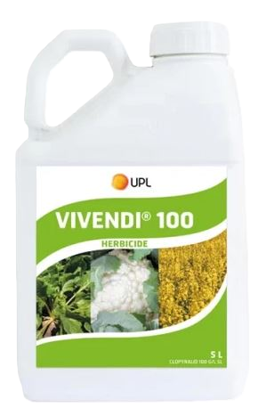 Vivendi 100 5 liter