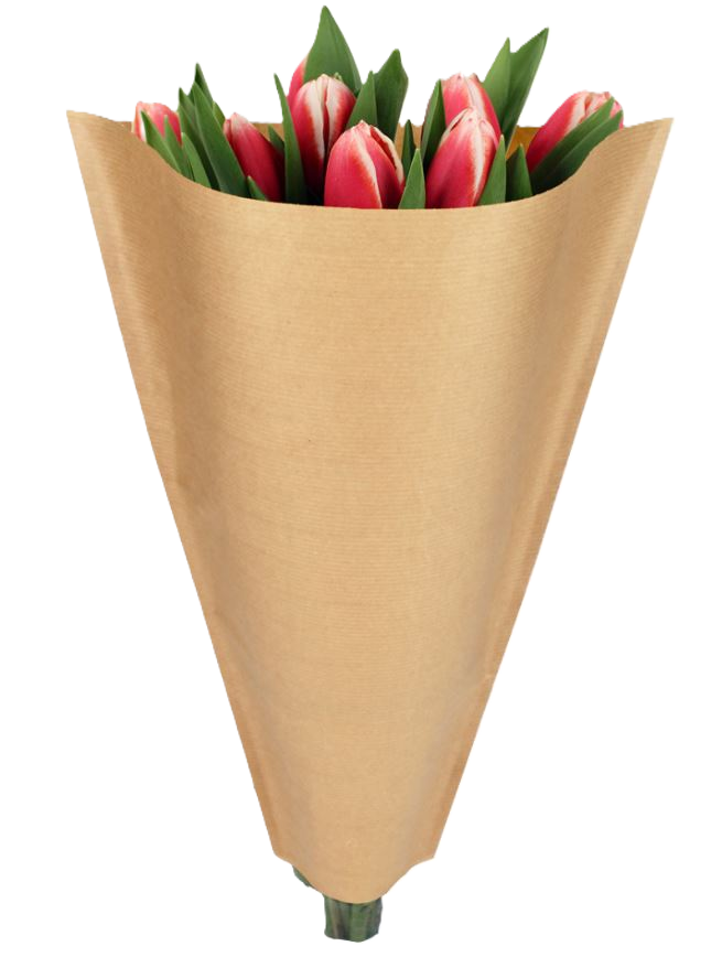 hoezen 40-30-12 bruin/kraft OPP30 1000ds