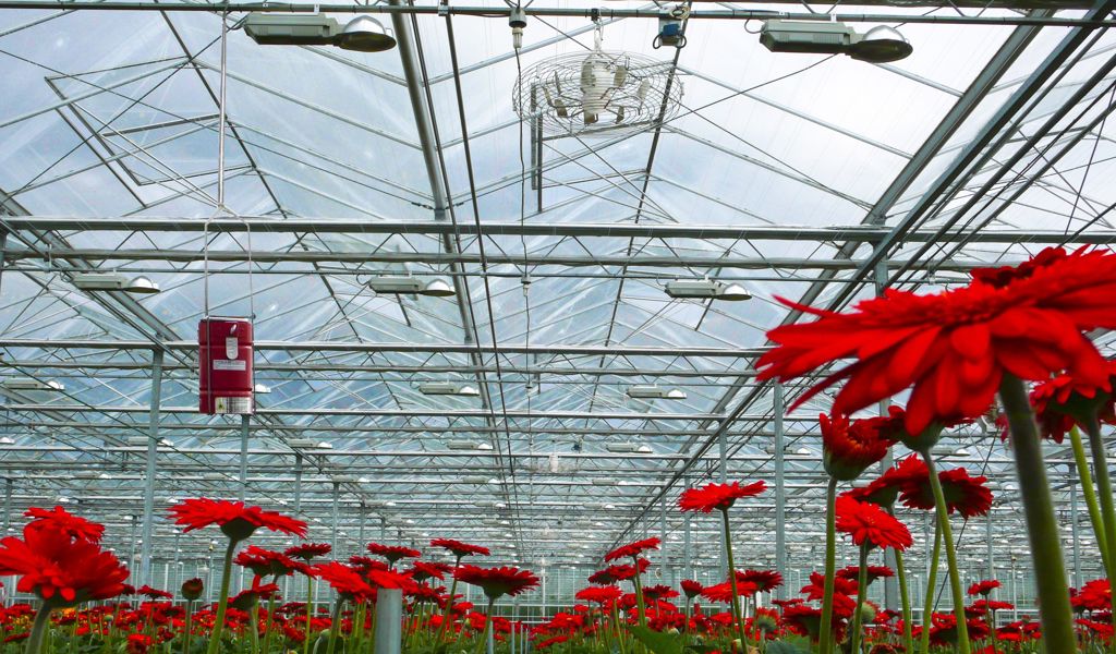 Nivolator tve-7, v-9 wit alu excl. korf