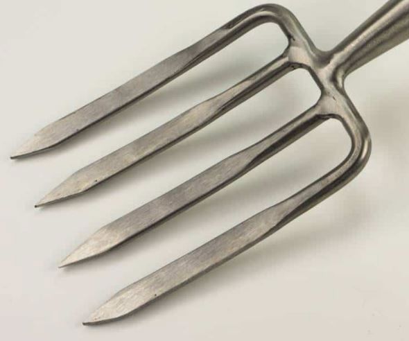 rooigreep 4-tands rvs 49cm steel