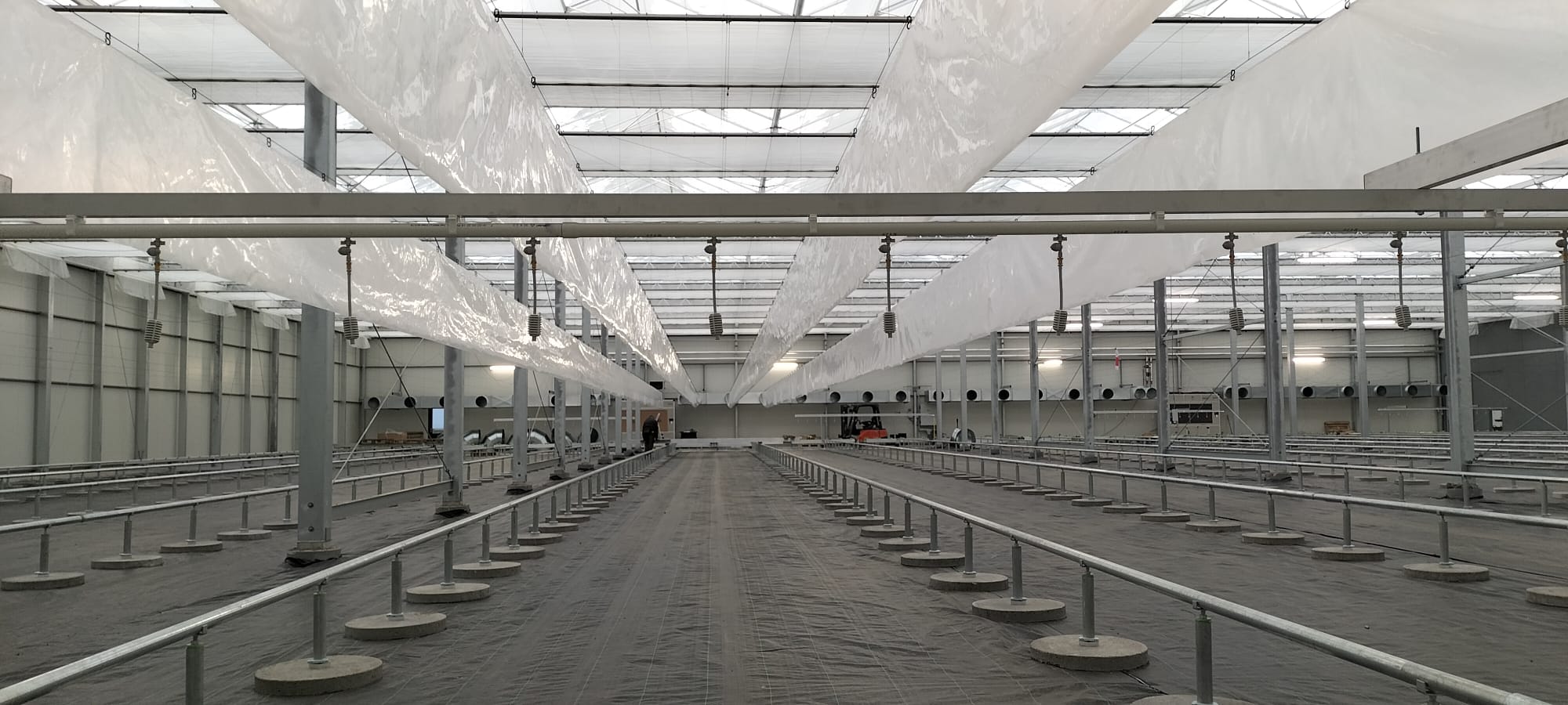 Duurzaam en Innovatief project bij DutchFlora — Optimalisatie van Water en Klimaat