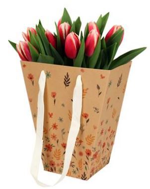 tulpentas 24x11x26cm karton 200/doos