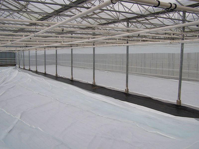 wittevliegengaas maas 0,27x0,88mm 3x200m