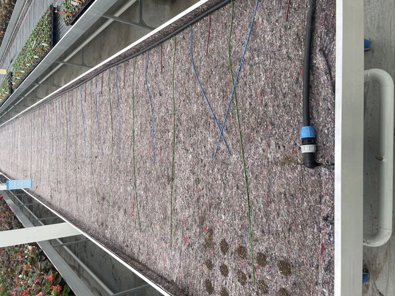 capillair 3,2x0,8mm rood 100cm