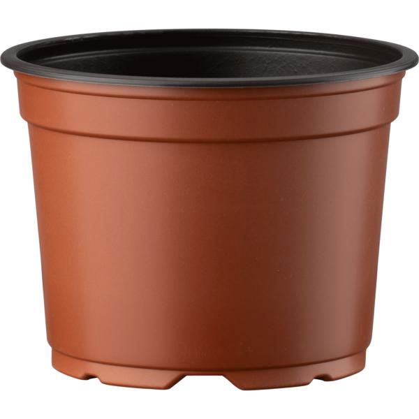 Desch pot 12cm 5° lg Dtect terra 12580/