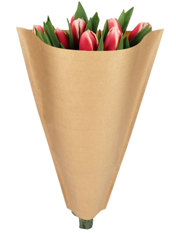 hoezen 38-25-10 bruin/kraft  1500ds