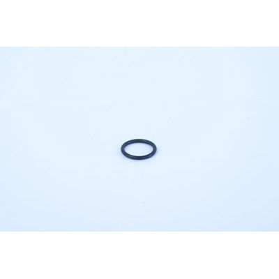 O-ring pomphuis pa330-1