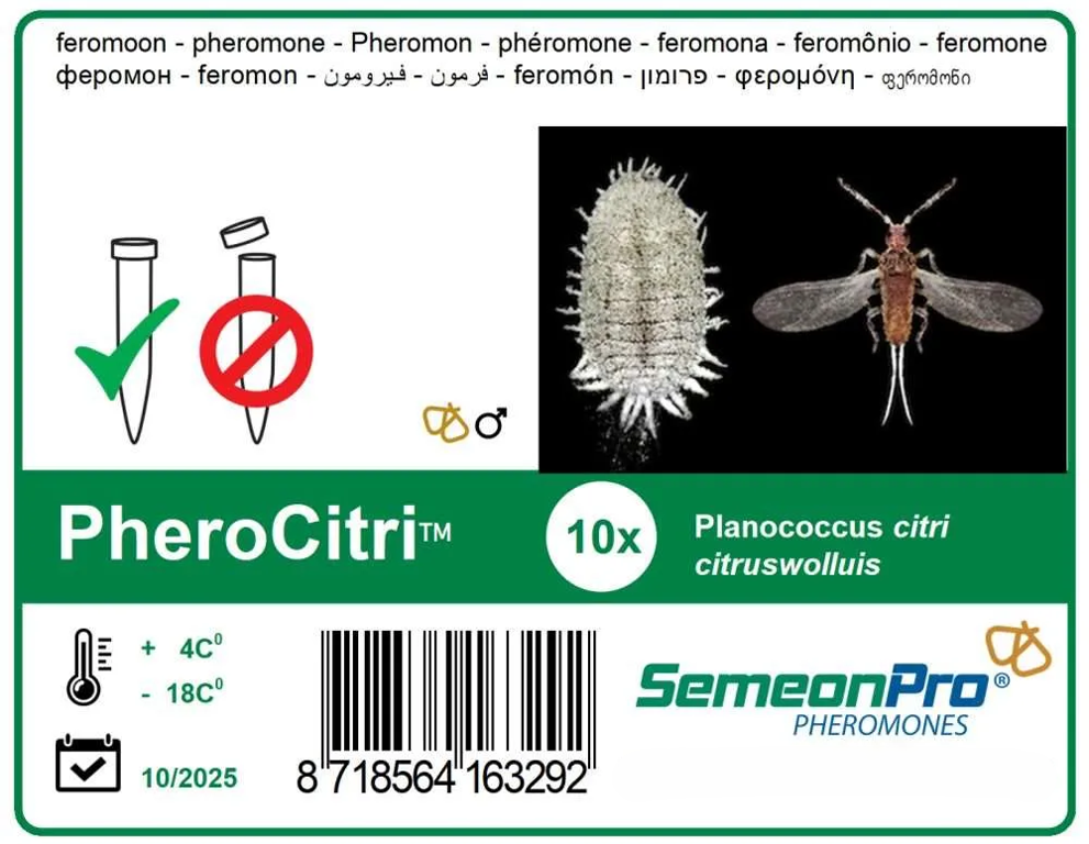 feromoon PheroCitri(Citruswolluis)10/pak