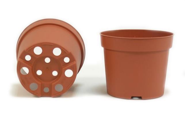 Pot 11cm vol 5* TC 25.200/pallet