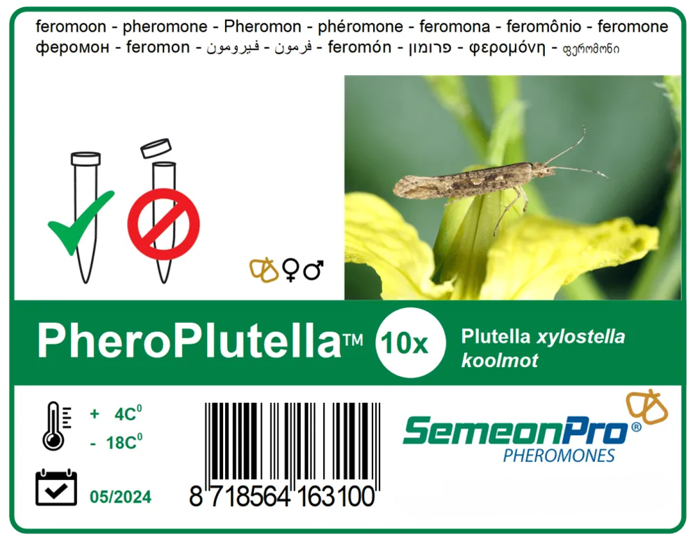 feromoon PheroPlutella (Koolmot) 10/pak
