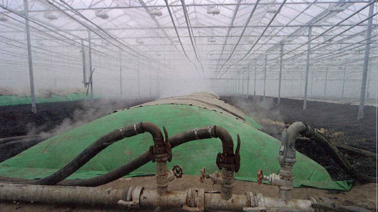 stoomzeil Vaporex groen 1000cm p/m²