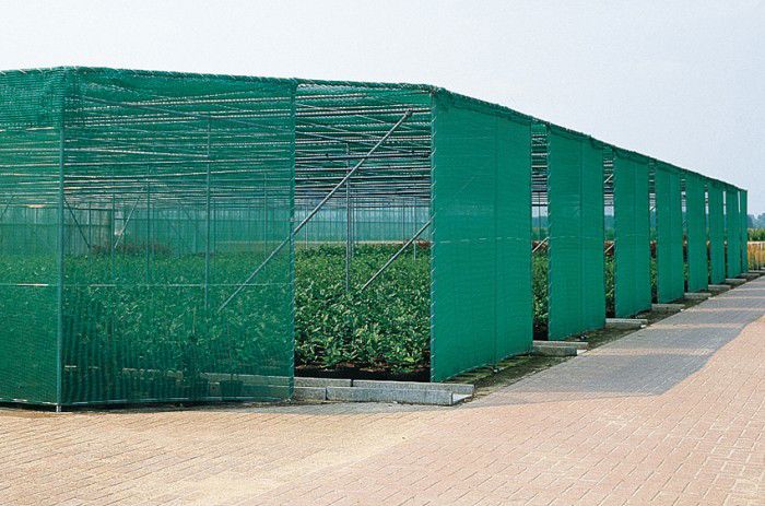 windbreekgaas 50-125 100cm 50mtr/rol