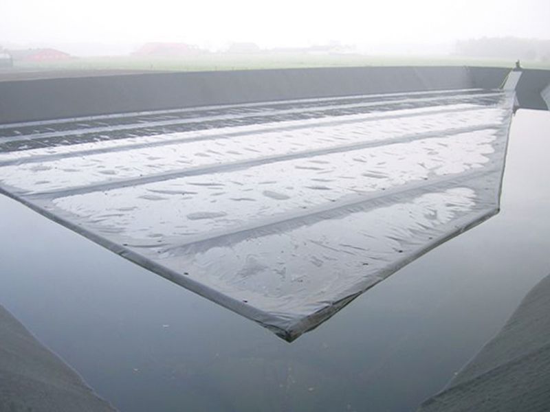 Multi-F dek anti alg zeil