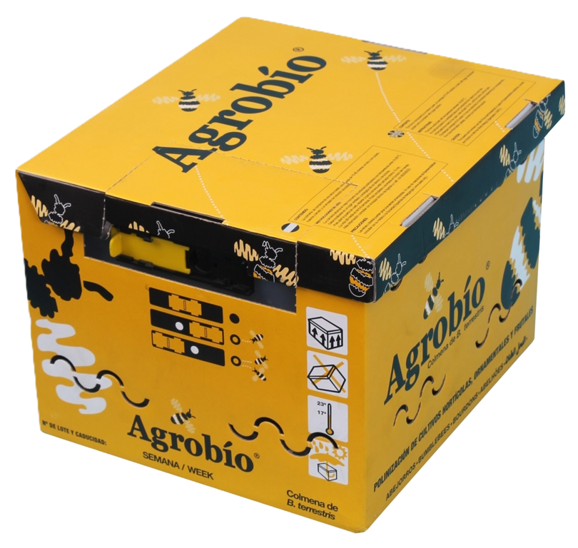 Hommelvolk AB (belicht)