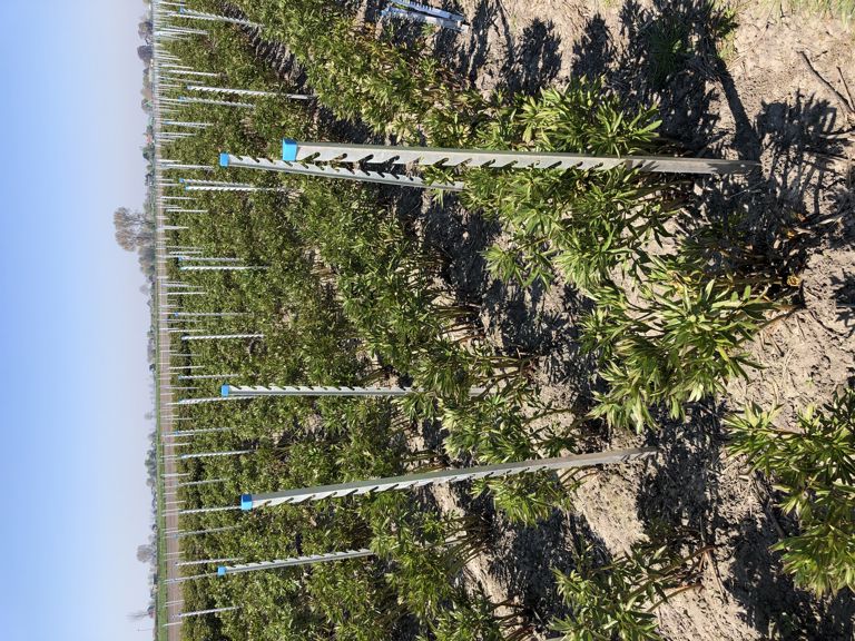 alu. T-profiel 120/15 smal, excl. dop