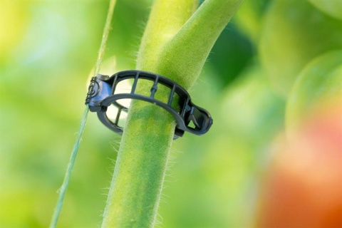 tomatenclip 21mm zwart 10500/doos