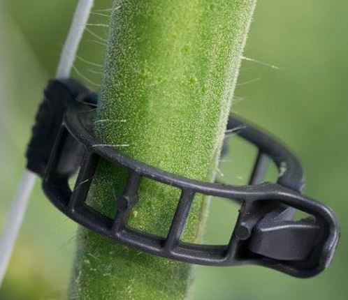 tomatenclip 21mm zwart 10500/doos