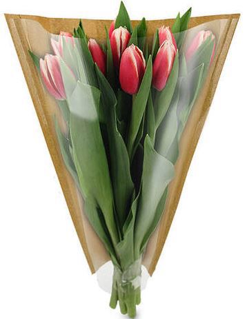 hoezen 40-25-10 bruin/kraft OPP30 1500ds