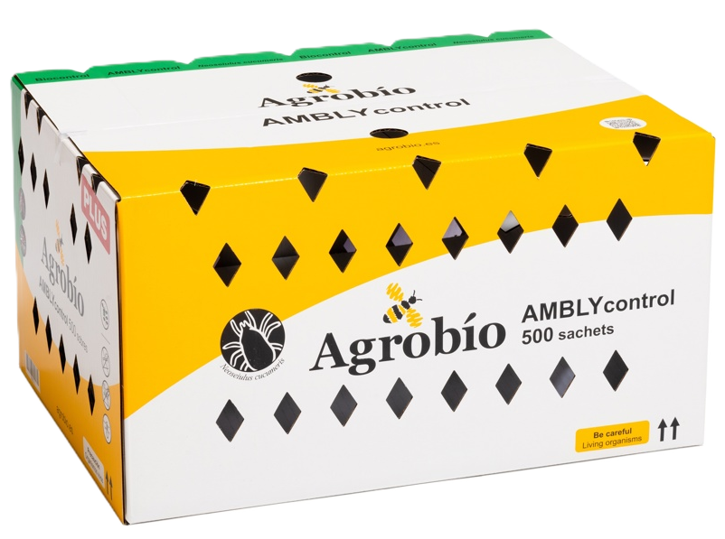 AMBLYcontrol 500 haakzakjes/doos AB1