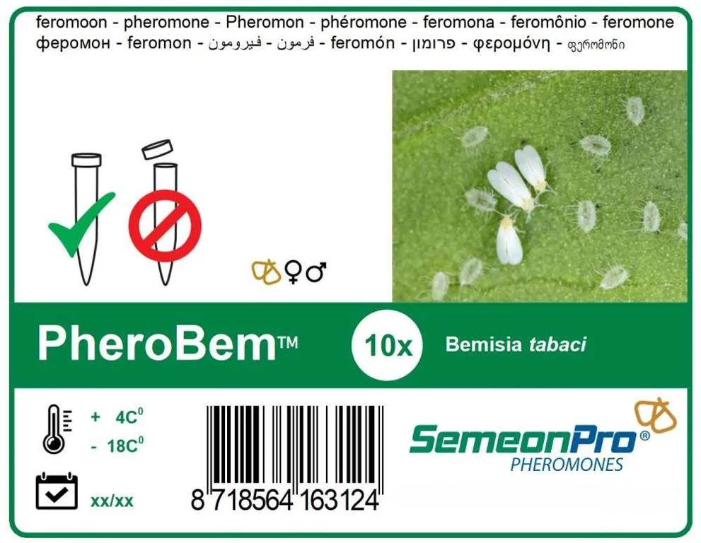 feromoon PheroBem (Wittevlieg) 10/pak
