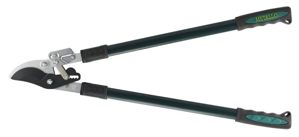 takkenschaar hevelsys. snijbek