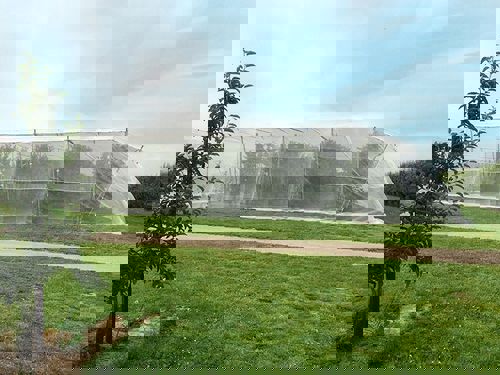 fruitvliegnet maas 0,88x1,02 2,5x200m