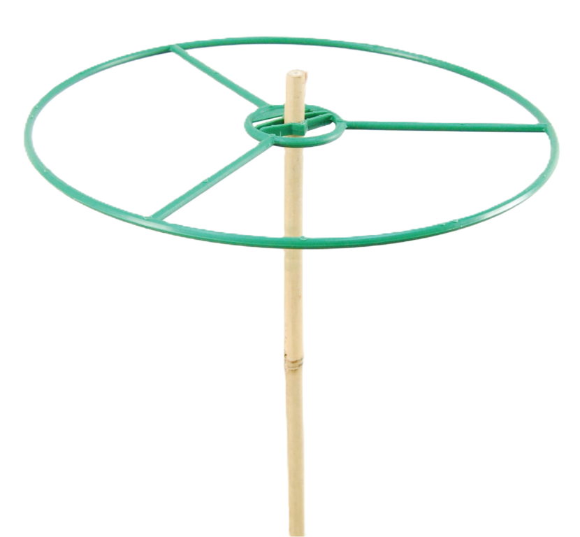 plantensteunring 30cm 10-12mm 75/doos