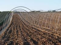 verenstalen tunnelstaven 6mm x3,25m 50/p