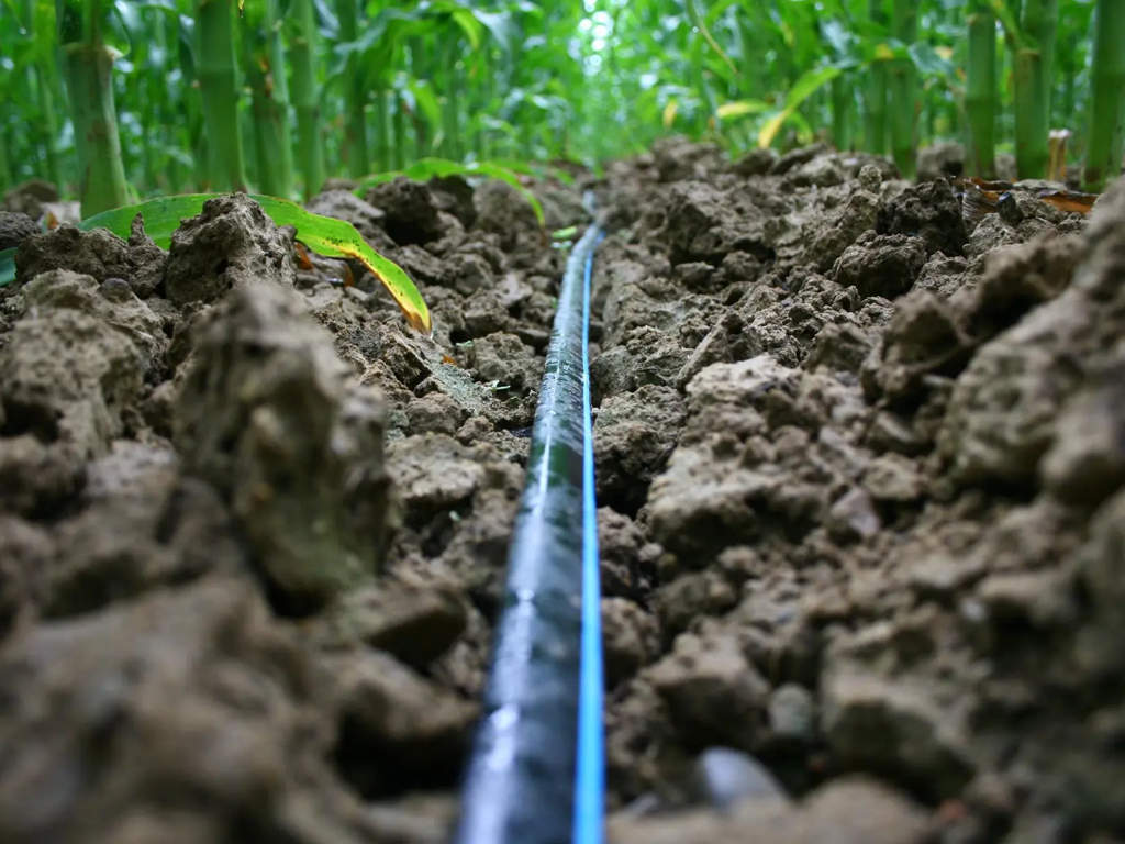 Toro Neptune 20x1mm 1,6L/u 50cm-300m/rol