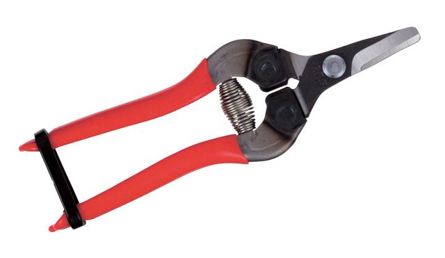 fruitschaar ARS 16 cm gebogen rood kort