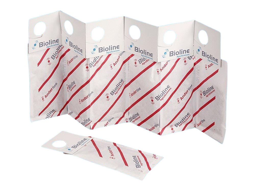 Anderline 200 mini haakzakjes SY