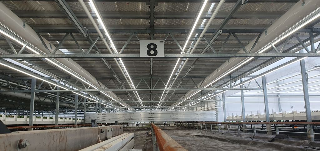 LED tube zonl. 1x180cm 35W interne drive