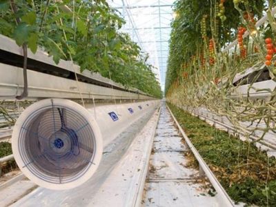 luchtslang ø25cm 30m 15mm gat wit