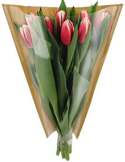 hoezen 38-35-15 bruin/kraft OPP30 1000ds