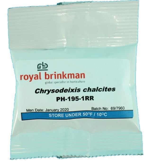 Deltacapsule (Turkse mot)